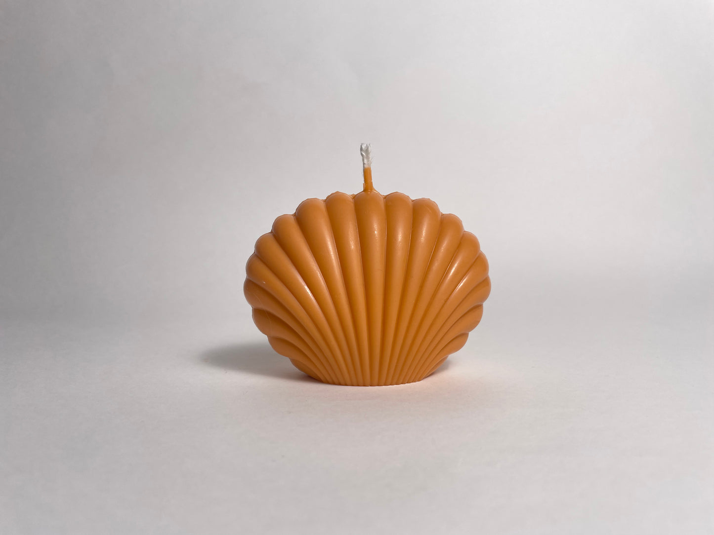 SHELL/white/blue/orange